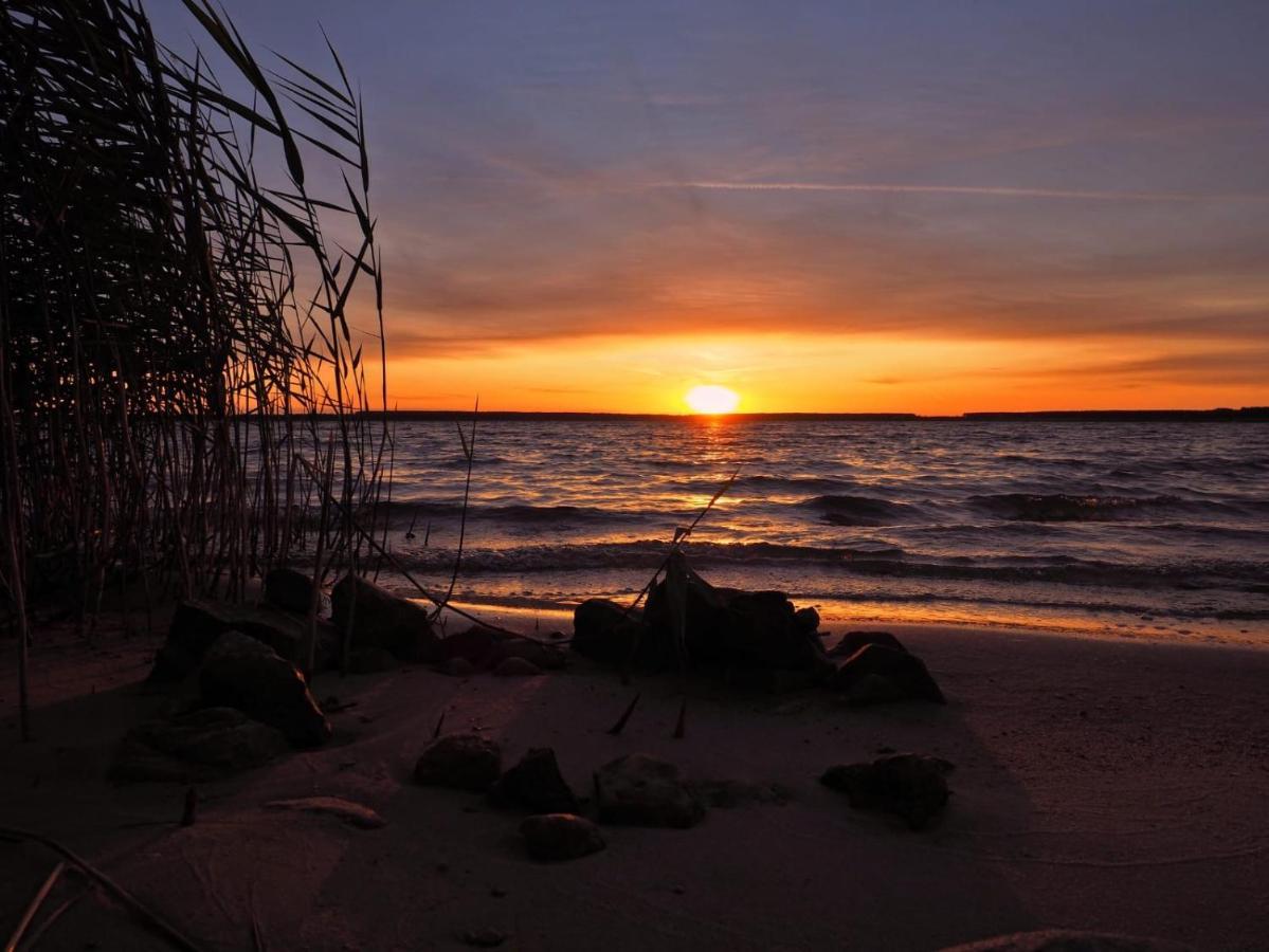 Altes Gewoelbe Mit Sauna Und Whirlpool Im Aussenbereich Elsterheide Dış mekan fotoğraf